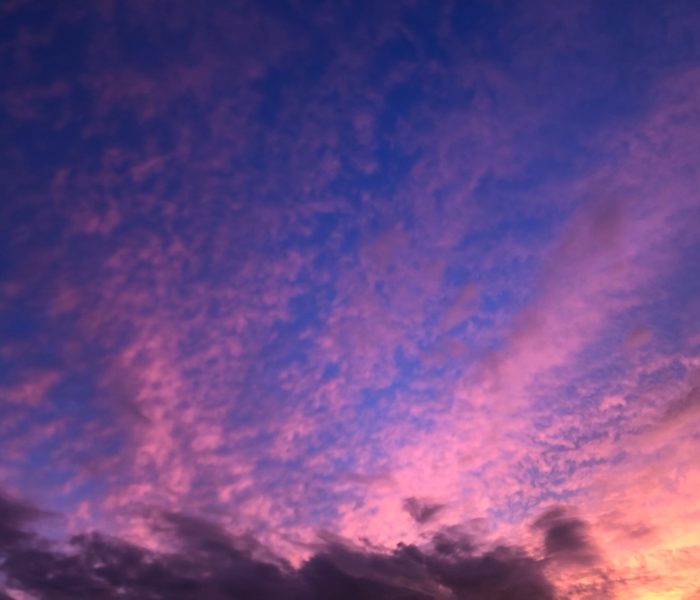 10/13（月・祝）は営業、10/15（水）に振替休日を頂きます。どうぞ宜しくお願い致します。