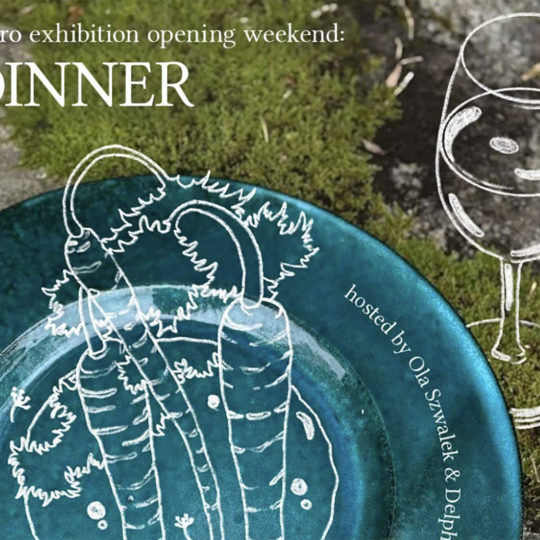 夏椿／なつつばき