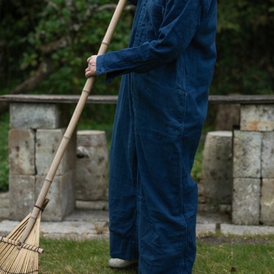 夏椿／なつつばき